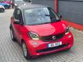 smart forTwo fortwo coupe Automatik Klima Leder Rood - thumbnail 3