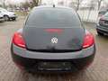 Volkswagen Beetle Design/TÜV 09.2027/Euro5/SHZ/Klimaautomatik Schwarz - thumbnail 6