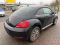 Volkswagen Beetle Design/TÜV 09.2027/Euro5/SHZ/Klimaautomatik Schwarz - thumbnail 7