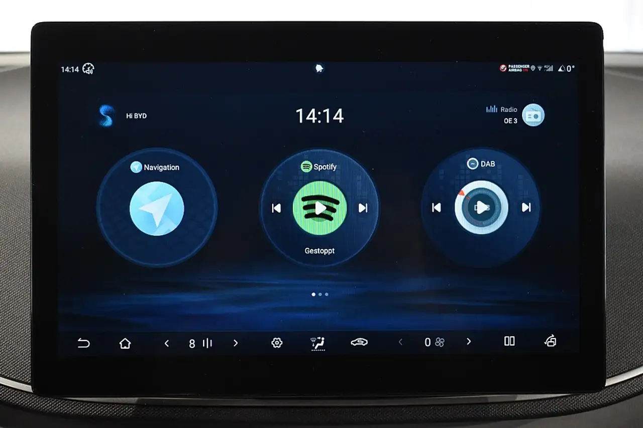 BYD DOLPHIN SURF