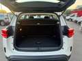 Citroen C5 Aircross Puretech 130 cv NO VINCOLI Weiß - thumbnail 15