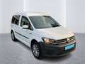Volkswagen Caddy 1.4 TSI DSG Trendl Sitzhzg PDC Weiß - thumbnail 4