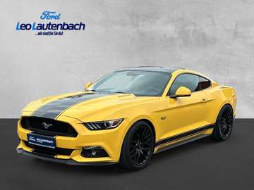 GT Fastback 19.000 Kilometer