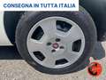 Fiat Fiorino 1.3 MJT 95C CARGO SX 6D-PORTAPACCHI-CRUISE-SENSORI Bianco - thumbnail 22