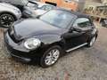 Volkswagen Beetle CABRIO 2.0 CR TDi Allstar + Opt. Gar. 12 Mois Negro - thumbnail 9