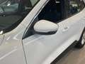 Ford Kuga 2.0 EcoBlue MEHV Titanium FWD 150 Blanco - thumbnail 14