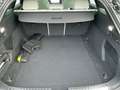 Audi A5 TDI S line quattro S tronic Grau - thumbnail 17
