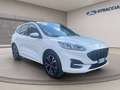 Ford Kuga 2.5 phev ST-Line 2wd 225cv cvt Blanc - thumbnail 9