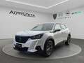 Peugeot 2008 2ª serie PureTech 100 S&S Active Pack Wit - thumbnail 1