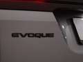 Land Rover Range Rover Evoque P300e AWD R-Dynamic SE Gris - thumbnail 12