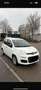 Fiat Panda Easy Weiß - thumbnail 1