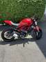 Ducati Monster 797 Plus - thumbnail 4