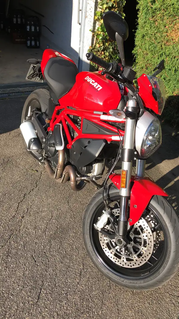 Ducati Monster 797 Plus - 1