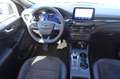 Ford Kuga Plug-In Hybrid ST-Line X - 2,5PHEV / AHK Blau - thumbnail 12
