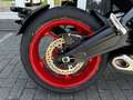 Triumph Trident 660 Triple Tribute Flyscreen+Bugspoiler Bleu - thumbnail 14