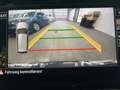 Volkswagen Passat Alltrack Passat Variant ALLTRACK 2.0 TDI DSG 4M AHK ACC S Grau - thumbnail 14