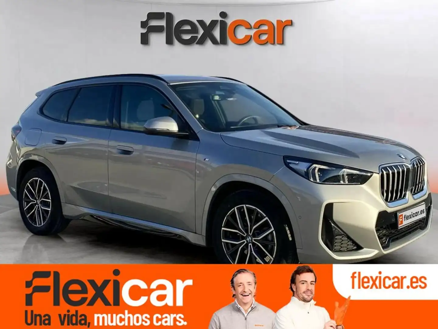 BMW X1 xDrive20d Beige - 1