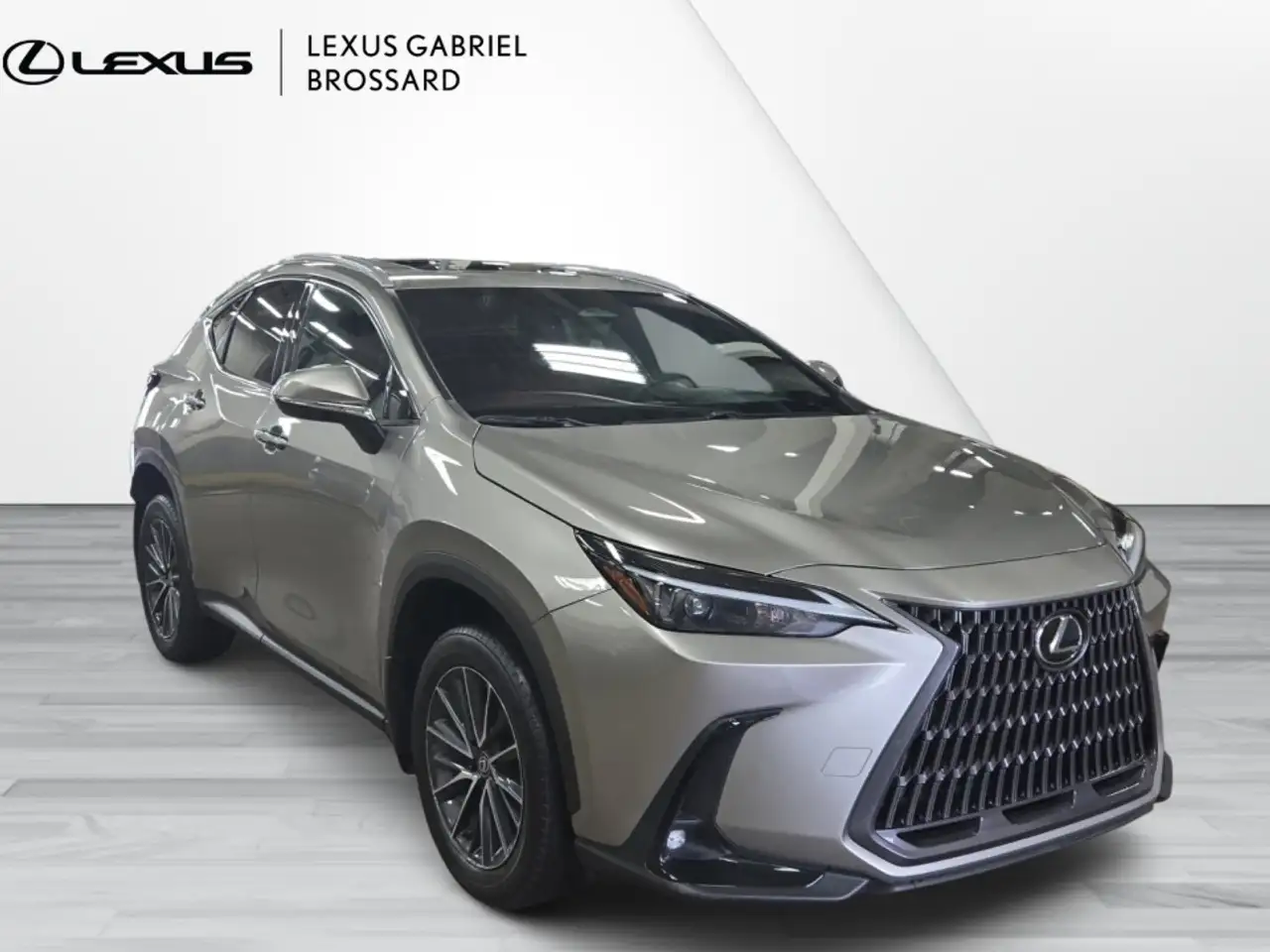 Lexus NX снимка Lexus NX