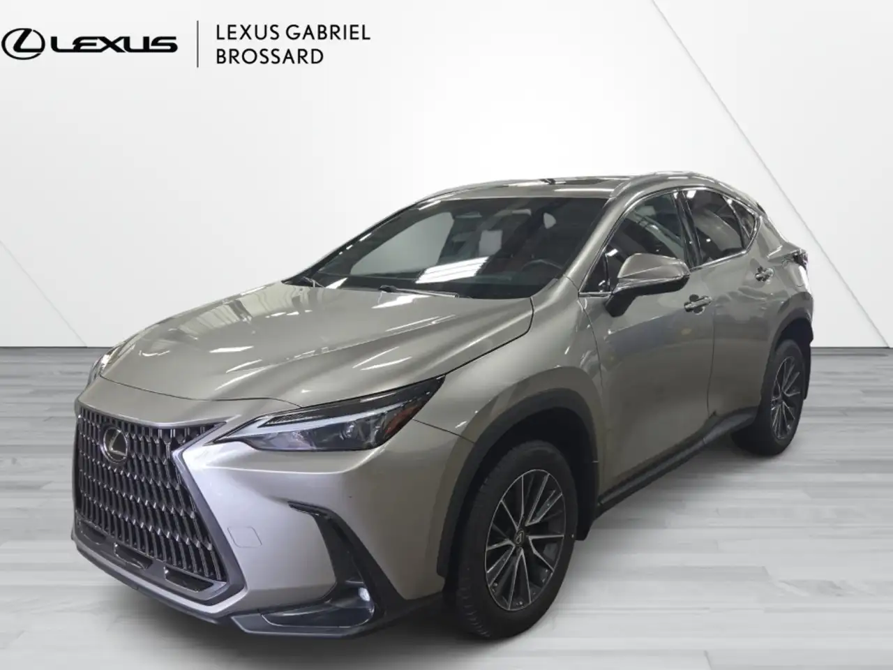 Lexus NX снимка Lexus NX