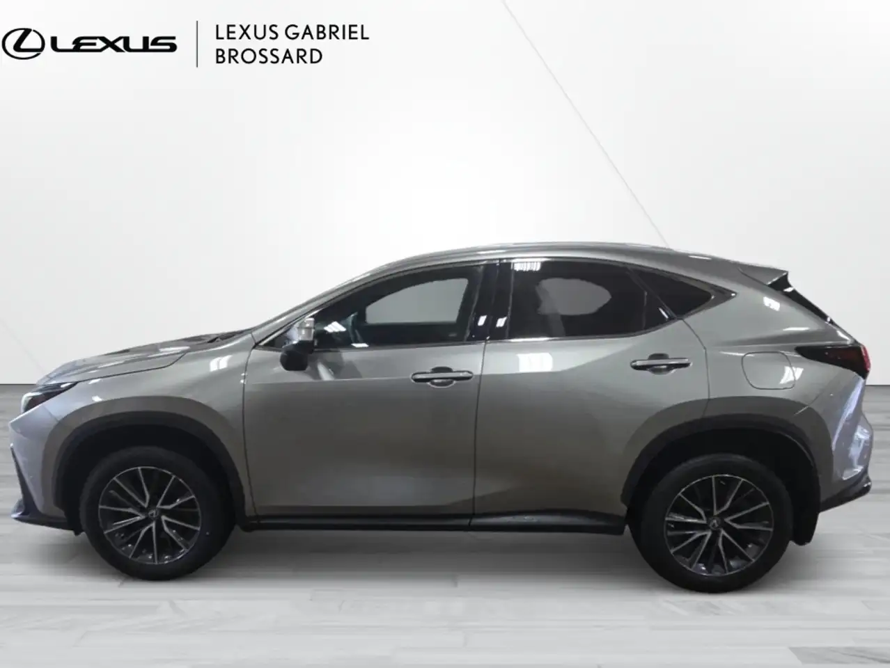 Lexus NX снимка Lexus NX