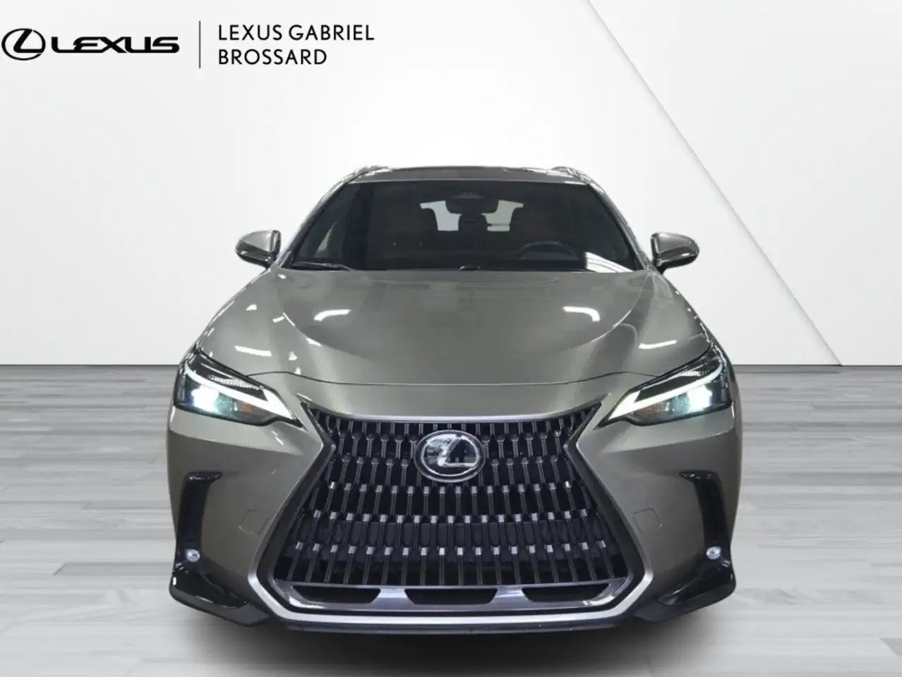 Lexus NX снимка Lexus NX