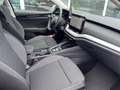 Skoda Octavia 1.5 TSI mHEV 110 kW Selection Grau - thumbnail 13