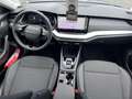 Skoda Octavia 1.5 TSI mHEV 110 kW Selection Grau - thumbnail 12