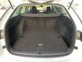 Skoda Octavia Combi 2.0 TDI DSG Style 17"+NAVI-COLUMBU Weiß - thumbnail 12