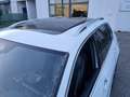 Volkswagen Tiguan 2.0 TDI  R-Line 150cv DSG Bianco - thumbnail 5