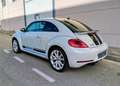 Volkswagen Beetle 1.4 TSI R-Line 160 Blanc - thumbnail 3