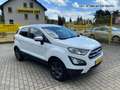Ford EcoSport Trend 1.0 EcoBoost, SH, Frontscheibenheizung, Lenk Wit - thumbnail 4