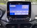 Ford EcoSport Trend 1.0 EcoBoost, SH, Frontscheibenheizung, Lenk Wit - thumbnail 16