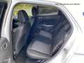 Ford EcoSport Trend 1.0 EcoBoost, SH, Frontscheibenheizung, Lenk Wit - thumbnail 9