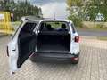 Ford EcoSport Trend 1.0 EcoBoost, SH, Frontscheibenheizung, Lenk Wit - thumbnail 8