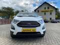Ford EcoSport Trend 1.0 EcoBoost, SH, Frontscheibenheizung, Lenk Wit - thumbnail 5