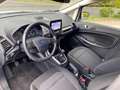 Ford EcoSport Trend 1.0 EcoBoost, SH, Frontscheibenheizung, Lenk Wit - thumbnail 14