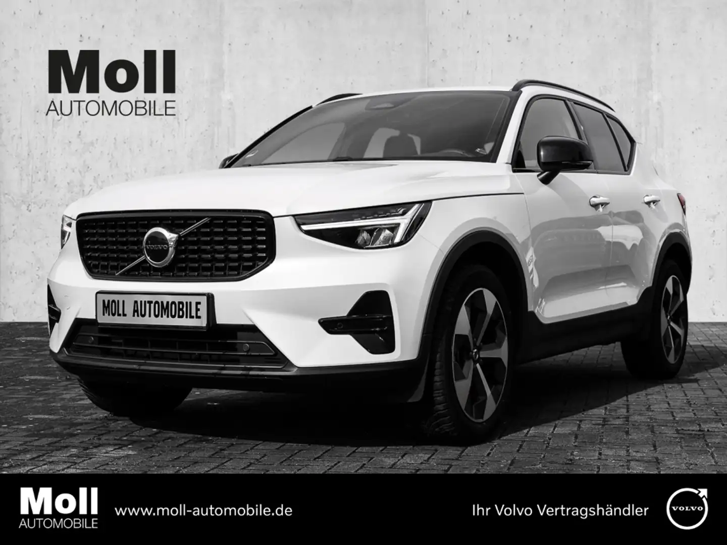 Volvo XC40 Plus Dark 2WD B3 EU6d digitales Cockpit Memory Sit Weiß - 1