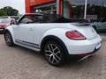 Volkswagen Beetle Cabrio Dune*DSG*Xenon*Leder*Navi*Kamera Білий - thumbnail 3