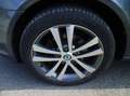 Skoda Octavia Combi 2.0 TDI DPF FAMILY/1.Hand/EURO 5/Xenon/AHK.. Grau - thumbnail 13