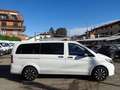 Mercedes-Benz Vito 116 CDI Automatic TOURERPRO Long 8Posti Telecamera Blanco - thumbnail 5