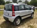 Fiat Panda 1.3 MJT 4X4 CLIMBING (CON ELD) Grigio - thumbnail 3
