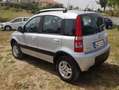 Fiat Panda 1.3 MJT 4X4 CLIMBING (CON ELD) Grigio - thumbnail 4