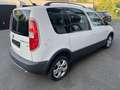 Skoda Roomster 1.6 CR TDi Ambiente DPF - thumbnail 3