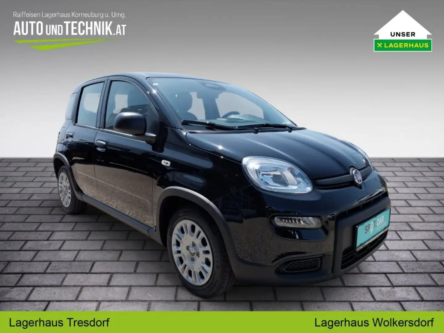 Fiat Panda PT70 Schwarz - 2
