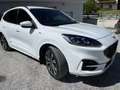 Ford Kuga 2,0 EcoBlue AWD ST-Line X Aut. - thumbnail 2