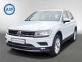 Volkswagen Tiguan BMT 2.0 TDI Highline 4Motion StandHZG Navi digital Blanco - thumbnail 1