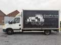 Iveco Daily 3.0 50c15 - thumbnail 5