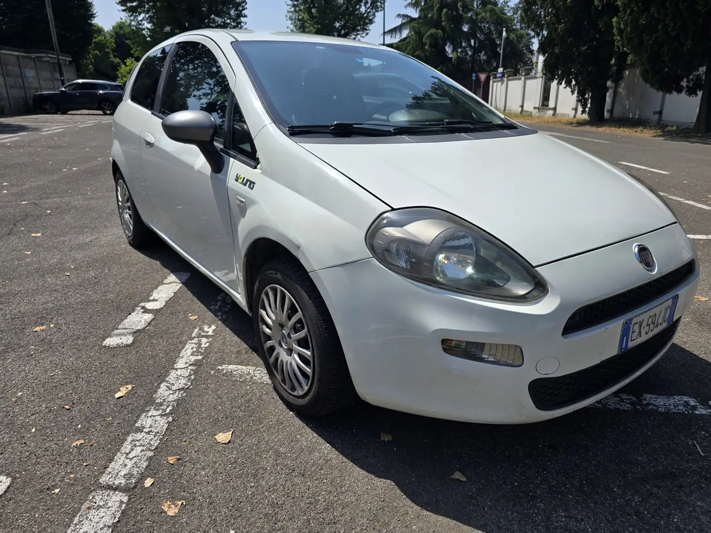 Fiat Punto Evo Gpl NEOPATENTATI - 1