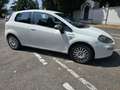 Fiat Punto Evo Gpl NEOPATENTATI - thumbnail 4