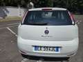 Fiat Punto Evo Gpl NEOPATENTATI - thumbnail 5